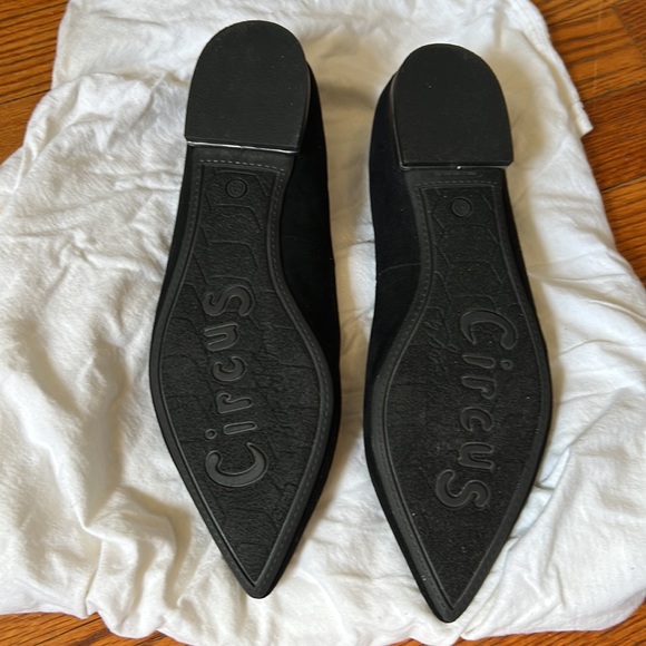Circus by Sam Edelman - Black Suede Pointed Flats - Picture 4 of 8
